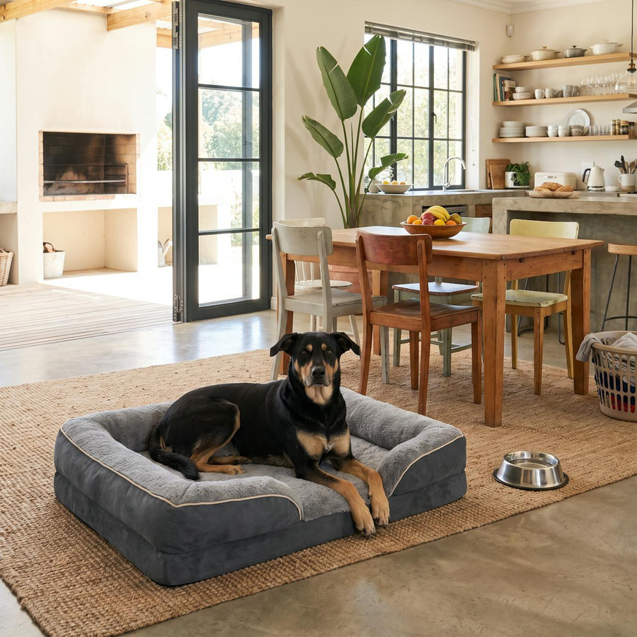WuFF Orthopaedic Pet Bed in an open-plan living and dining area with a dog sitting in it