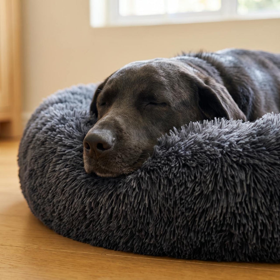 WuFF Giant Pet Bed close-up of a dog resting its head on the raised bolster rim