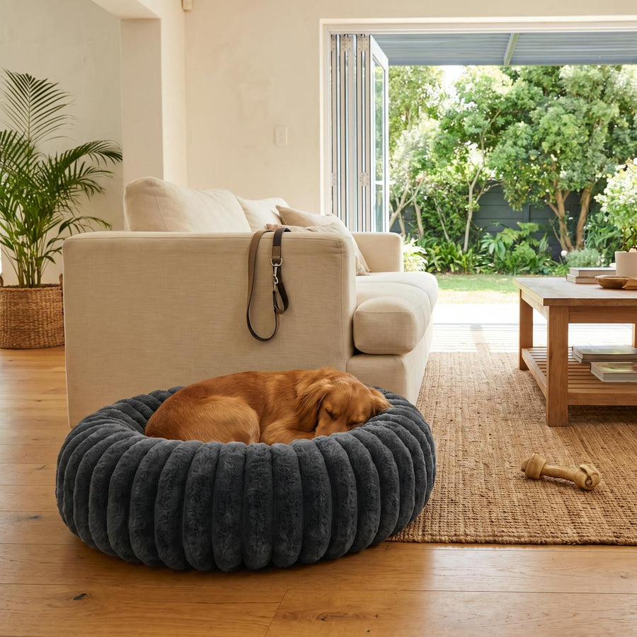 WuFF Donut Pet Bed in a sunlit South African lounge with a dog curled up in it