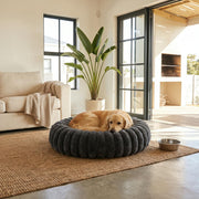 WuFF Donut Pet Bed in the largest size with a golden retriever curled up in it