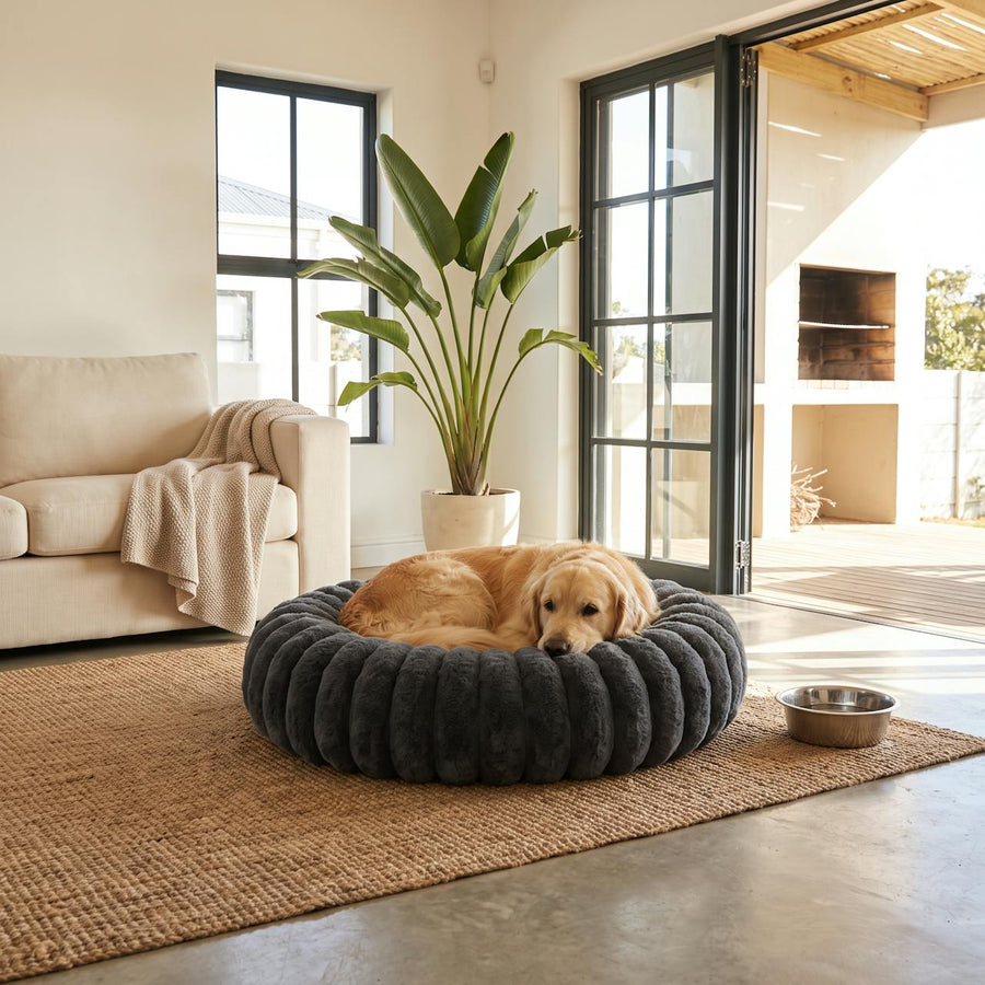 WuFF Donut Pet Bed in the largest size with a golden retriever curled up in it