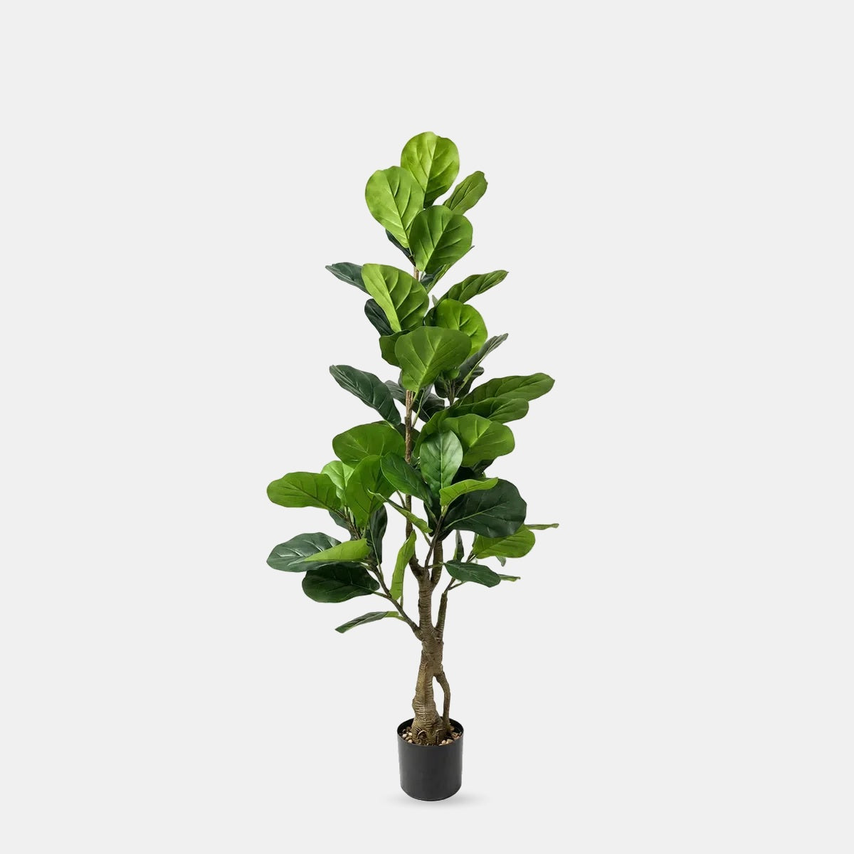 Artificial faux fiddle leaf tree 150cm on a grey studio background